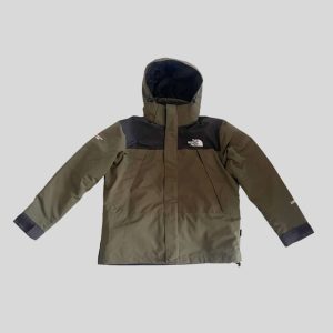 The North Face Green Waterproof 3 in 1 winter/ski jacket suitable for Japan, Korea, China, Snow trip