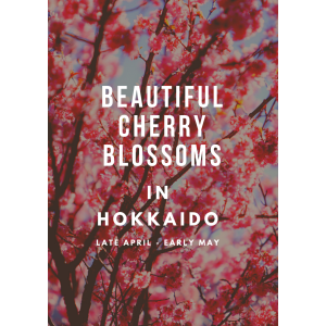 spring in Hokkaido guide 2026