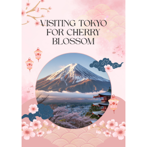 where to see cherry blossoms in Tokyo