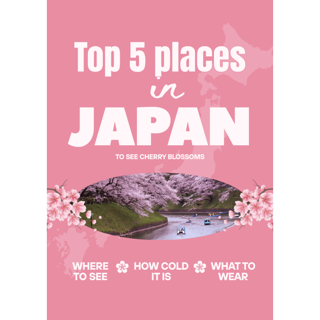 where to see cherry blossoms in Japan