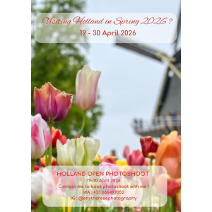 tulip photoshoots in holland